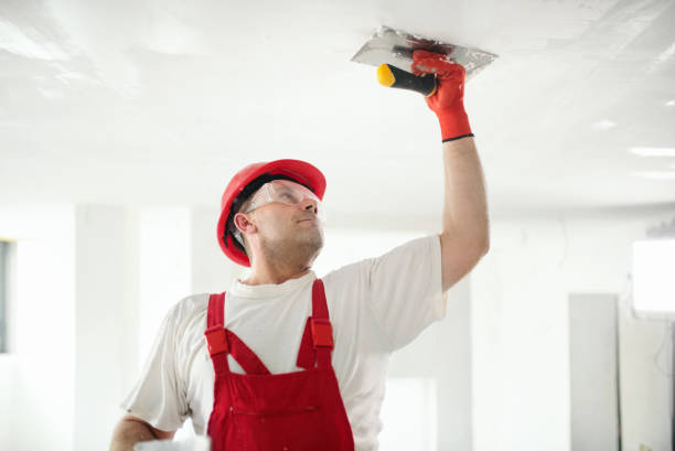 Professional Dry wall and painting in Vernon, WI